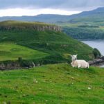 Crédit photo :/ Martin Trillot